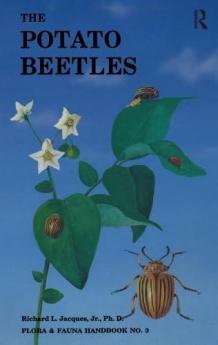 Potato Beetles