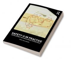 Safety-II in Practice