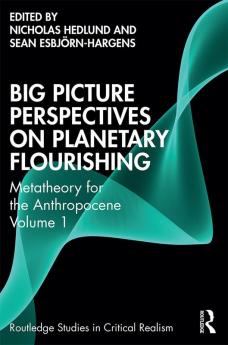 Big Picture Perspectives on Planetary Flourishing