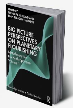Big Picture Perspectives on Planetary Flourishing