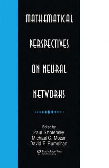 Mathematical Perspectives on Neural Networks