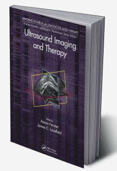 Ultrasound Imaging and Therapy