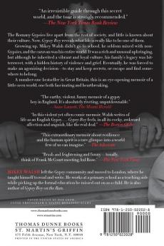 Gypsy Boy: My Life in the Secret World of the Romany Gypsies