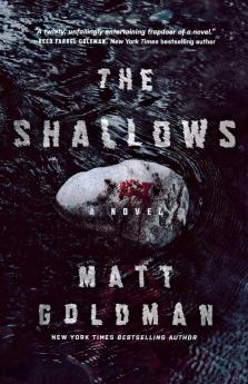 The Shallows: A Nils Shapiro Novel: 3 (Nils Shapiro 3)