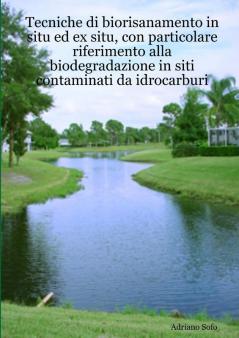 Tecniche di biorisanamento in situ ed ex situ con particolare riferimento alla biodegradazione in siti contaminati da idrocarburi