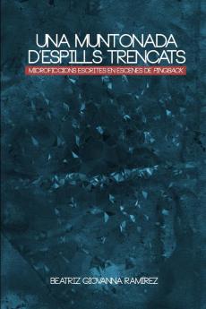 Una muntonada d'espills trencats