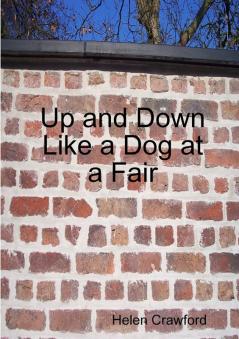 Up and Down Like a Dog at a Fair