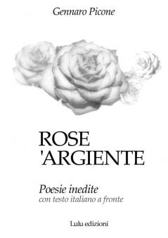 Rose 'argiente