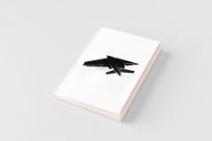 The Airpower Advantage in Future Warfare
