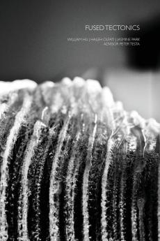 Fused Tectonics