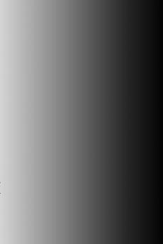 ������ ������ ����������