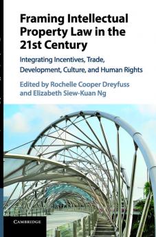 Framing Intellectual Property Law in the 21st Century