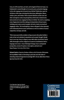 Varieties of Musical Irony