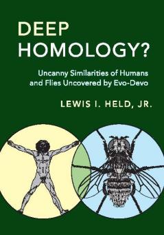 Deep Homology?