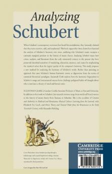 Analyzing Schubert