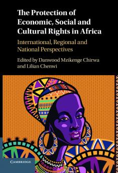 The Protection of Economic Social and Cultural Rights in Africa