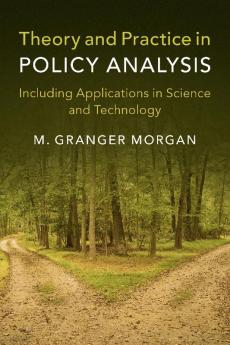 Theory and Practice in Policy Analysis
