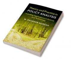 Theory and Practice in Policy Analysis