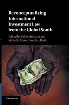 Reconceptualizing International Investment Law from the Global             South