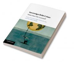 Sovereign Debt Crises