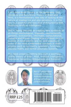 The Fractal Brain Theory