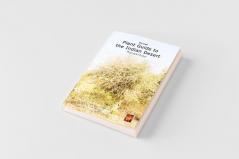The Small Plant Guide to the Desert Plants
