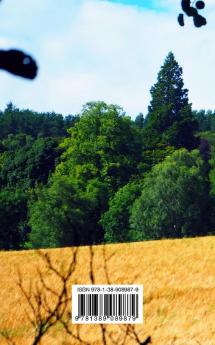 Photo of Scotland: The colors of a land