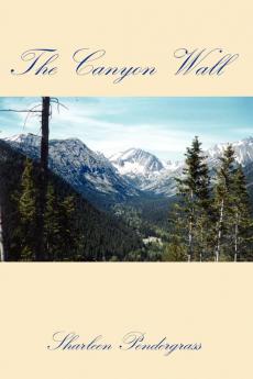 The Canyon Wall