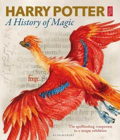 Harry Potter – A History of Magic