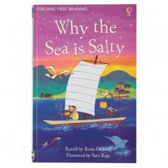 WHY IS THE SEA SALTY?