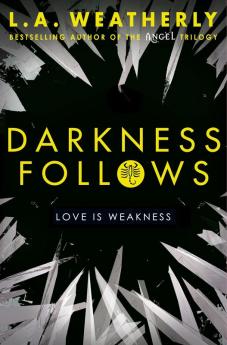 DARKNESS FOLLOWS