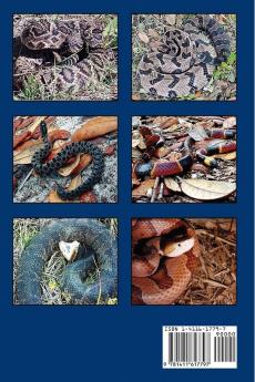 Venomous Snakes Of The Southeast