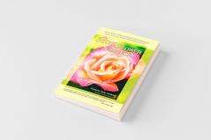 Rose Flower Essences