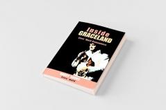 Inside Graceland