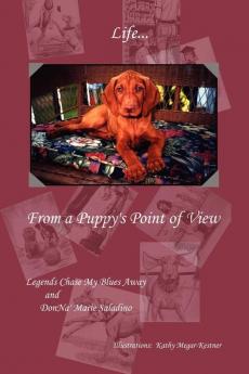 Life from a Puppy's Point of View