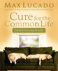 Cure for the Common Life Workbook