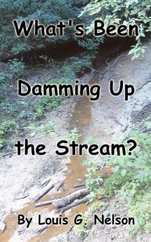 What's Been Damming Up the Stream?