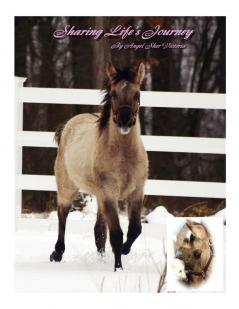 Sharing Life's Journey