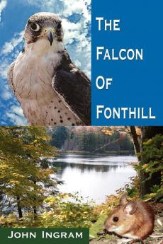 The Falcon Of Fonthill