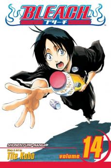 Bleach Vol. 14