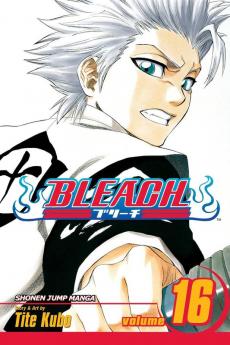 BLEACH 16