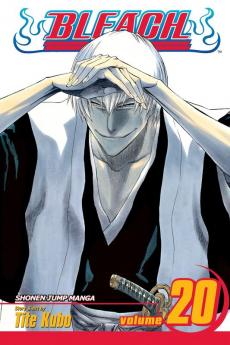 Bleach Vol. 20
