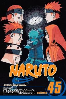 NARUTO 45