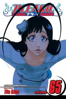 BLEACH 65
