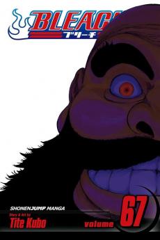 BLEACH 67
