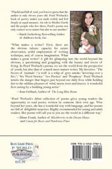 What The Wind Taught Me