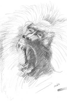Mystories of the Savannah