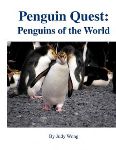 Penguin Quest