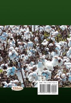 Cotton in Augusta