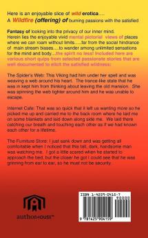 The Long and Short of Erotica